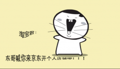 淘寶君，東哥喊你來(lái)京東開(kāi)個(gè)人店鋪啰