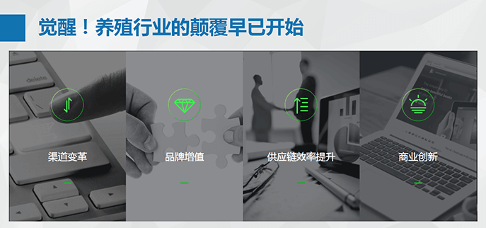 “養(yǎng)殖+互聯網”開啟養(yǎng)殖行業(yè)新思路、新起點的電商之路 - 美迪電商教育