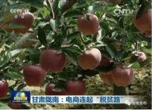 【線下公開課】看種植+互聯(lián)網(wǎng)電商如何成功升值10倍 - 美迪電商教育