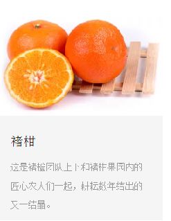 【線下公開課】看種植+互聯(lián)網(wǎng)電商如何成功升值10倍 - 美迪電商教育