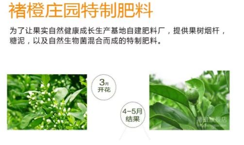 【線下公開課】看種植+互聯(lián)網(wǎng)電商如何成功升值10倍 - 美迪電商教育