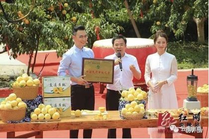 【線下公開課】看種植+互聯(lián)網(wǎng)電商如何成功升值10倍 - 美迪電商教育