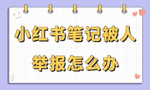 小紅書(shū)筆記被人舉報(bào)怎么辦？這些方法幫助你輕松應(yīng)對(duì)！ - 美迪教育